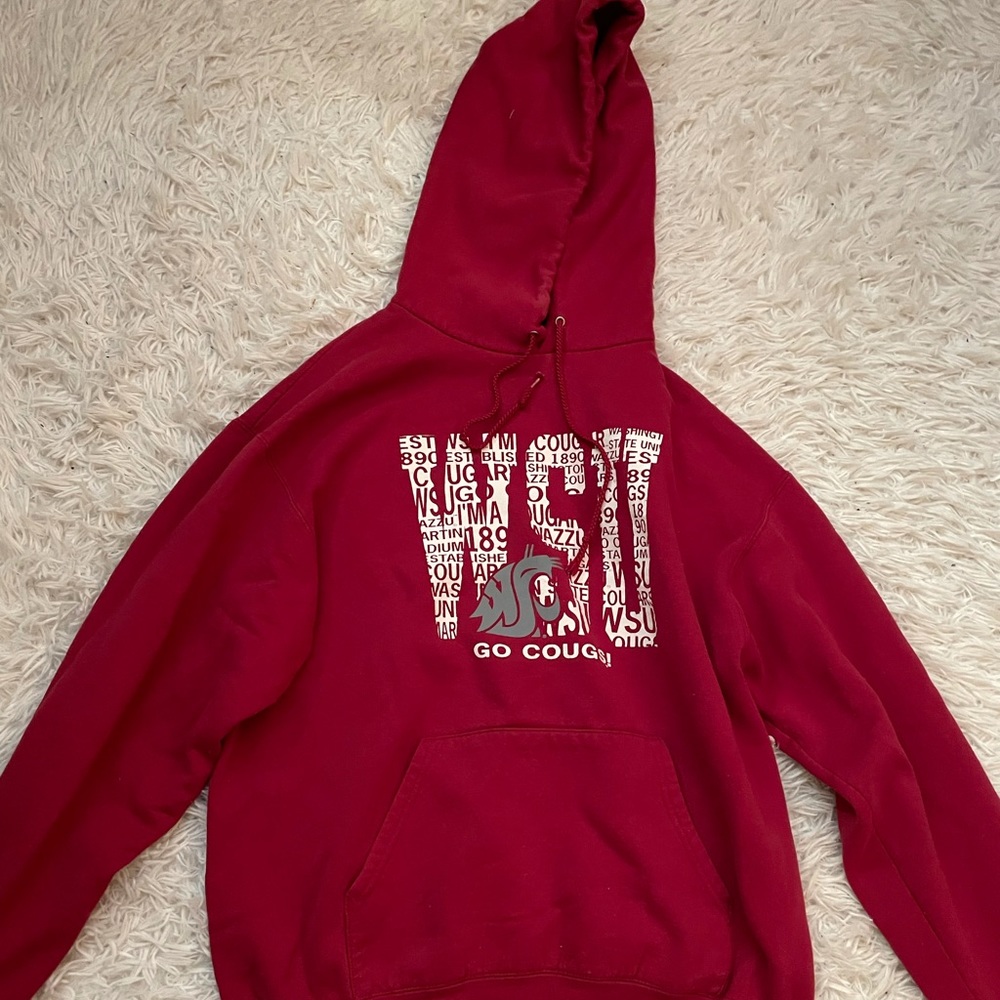 Washington State University Champion hoodie